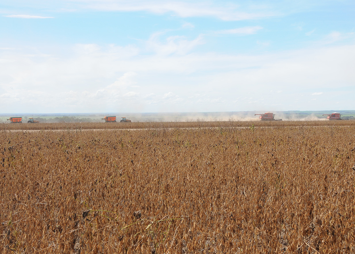Record On Tap Brazil’s Soybean Acres Will Exceed 100 Million for the
